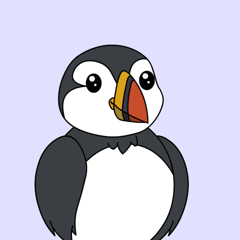Puffins GIF