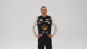 Kyle Busch No GIF by Richard Childress Racing