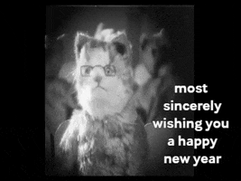 New Year Cat GIF by Fleischer Studios