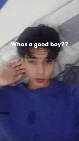 Good Boy Instagram GIF