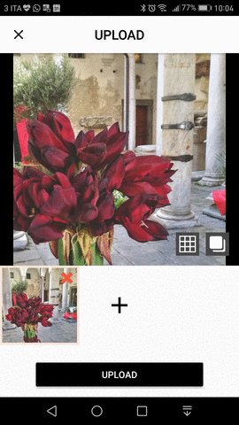 silvia_thequietcoach instagram planoly GIF