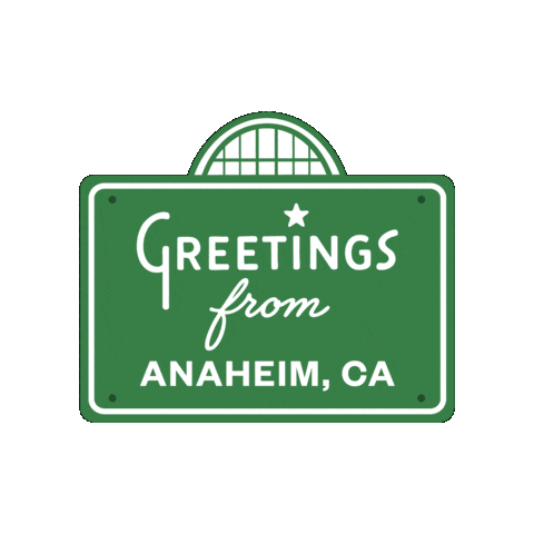 Jonas Brothers Anaheim Sticker by Honda Center