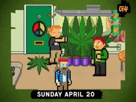 Tv GIF