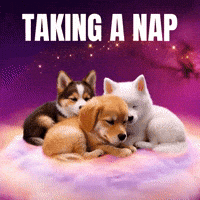 Taking a Nap