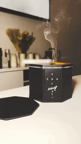 Vibes Trending GIF by AshLoudSpeakers