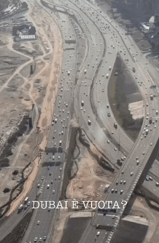Dubai GIF by Diego Granese