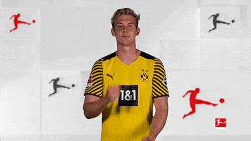 Deciding Borussia Dortmund GIF by Bundesliga