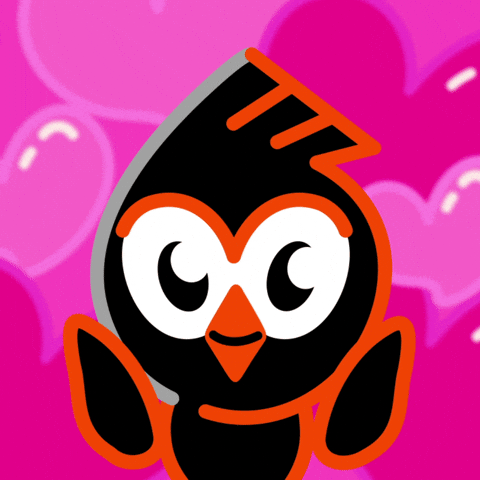 Birdeye GIF