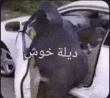 Iraq GIF by Bashar