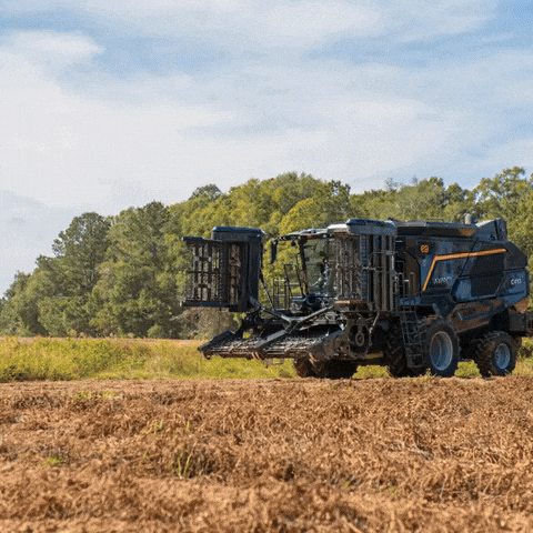 Avanti GIF by Industrias Colombo