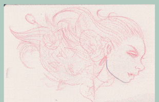 charringo girl cartoon illustration design GIF