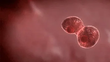 प्रेग्नेंसी में कैंसर