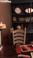 Sad-and-funny GIFs - Get the best GIF on GIPHY