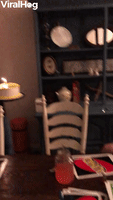 Sad-and-funny GIFs - Get the best GIF on GIPHY Sad-and-funny GIFs - Get the best GIF on GIPHY