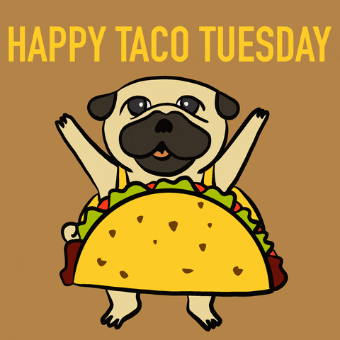 Illustrated gif. A pug wearing a taco costume waving its arms. Text, "Happy taco Tuesday."