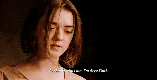 arya meaning, definitions, synonyms