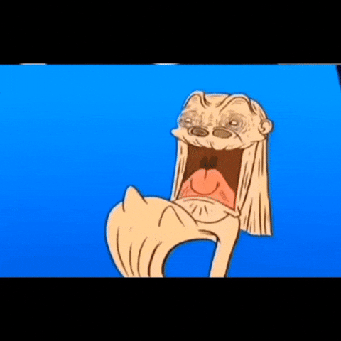 Ha Ha Ha Ha Ha Laughing GIF