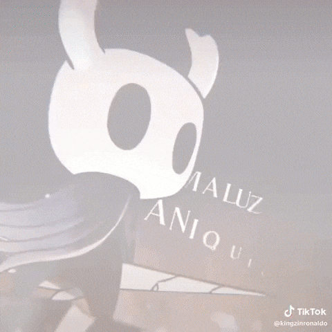 Hollow Knight Little Ghost GIF