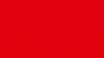 Sd Volitve GIF by Socialni demokrati (SD)