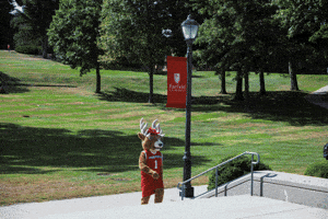 GIF by fairfieldu