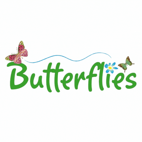 butterfliescreche kid children child montessori GIF