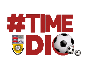 Football Futebol Sticker by Diocesano