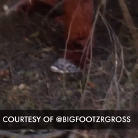 Harry Foot GIF by Four Rest Films
