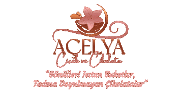 acelyacicek Sticker