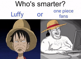 One Piece Meme GIF
