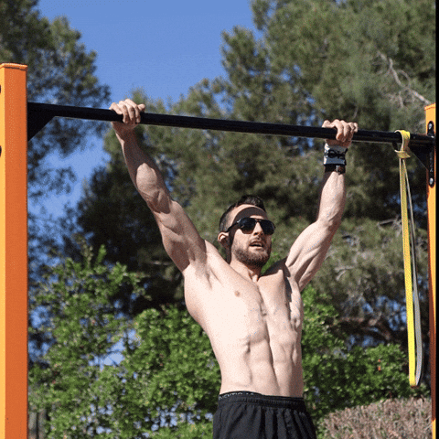 Calisthenics Pull Ups GIF
