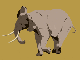 LaPageDeCam yellow africa elephant giant GIF