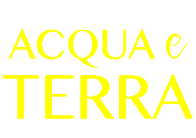 Yellow Sticker by acquaeterra