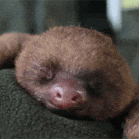 200.gif?cid=f0bdee70oaph9zis16gjft8wrou6u7an0ol10e18t89mnkpf&rid=200.gif&ct=g