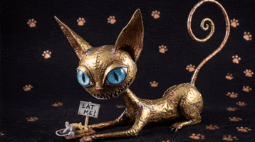 Cat Eat GIF
