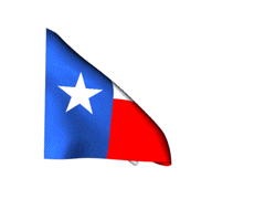 Giphy - texas GIF