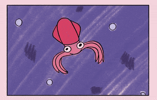 ratchili animation squid ratchili GIF