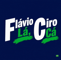 Ciro Gomes Bolsonaro GIF by Michel