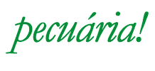 Casale Brasil Sticker by Casale