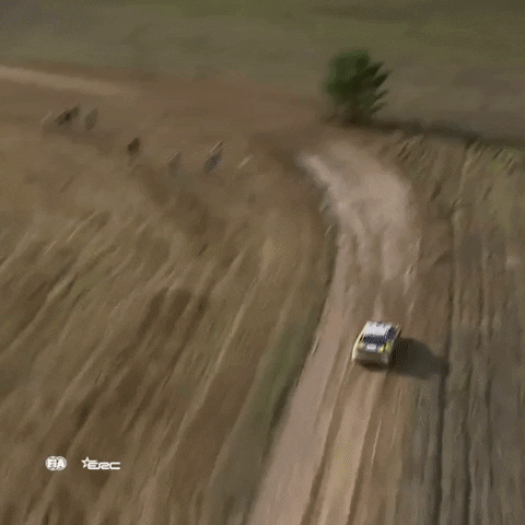 Tree Luck GIF by FIA European Rally Championship