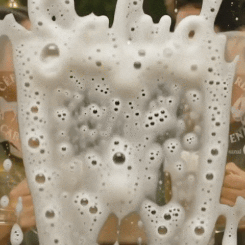 Cheers Salud GIF by CERVECERIA CARTAGENA
