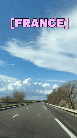 Driving France GIF