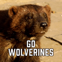 Go Wolverines 