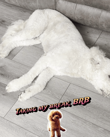 Break Time Brb GIF by Rancho Health