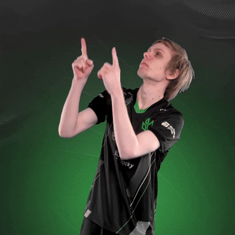 Point Esports GIF by Sprout