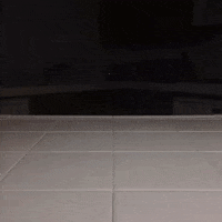 Stop Motion Lol GIF by jethroames