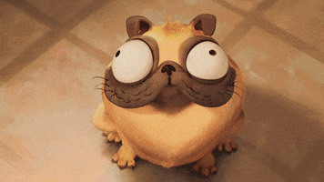 200.gif?cid=fc005b08247e916b0a5eeeb71b258600d1b5a0c3a1a45763&rid=200.gif&ct=g