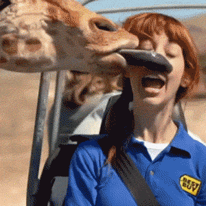 giphy.gif?cid=19f5b51a5d36b3ae4d524a716799f0a1&rid=giphy.gif