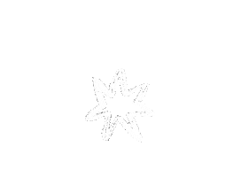 White Star Sticker by Steluna