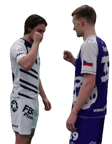 FbC Plzeň Sticker
