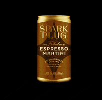 Spark Plug GIF